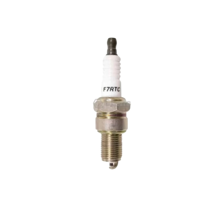 Spark Plug 5879997-01