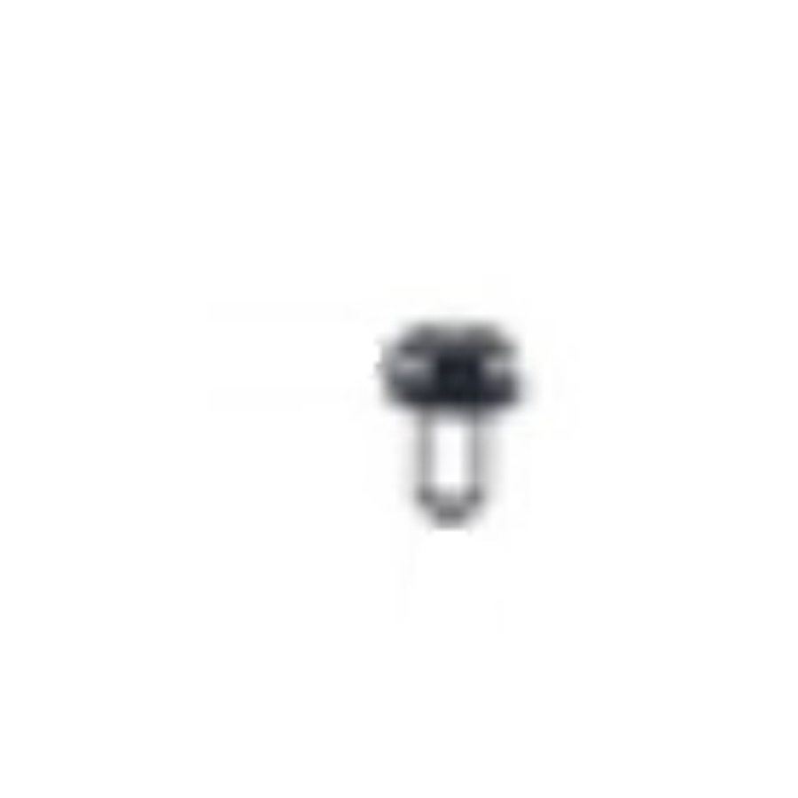 Screw 5884094-01