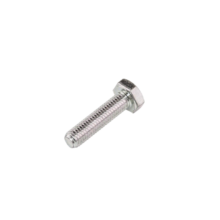 Screw