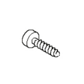 Screw Screw