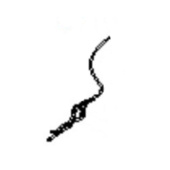 Run With Protective Cord 5911017-01 Run With Protective Cord 5911017-01