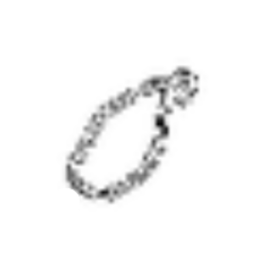The gasket