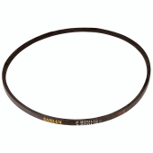 Belt Belt