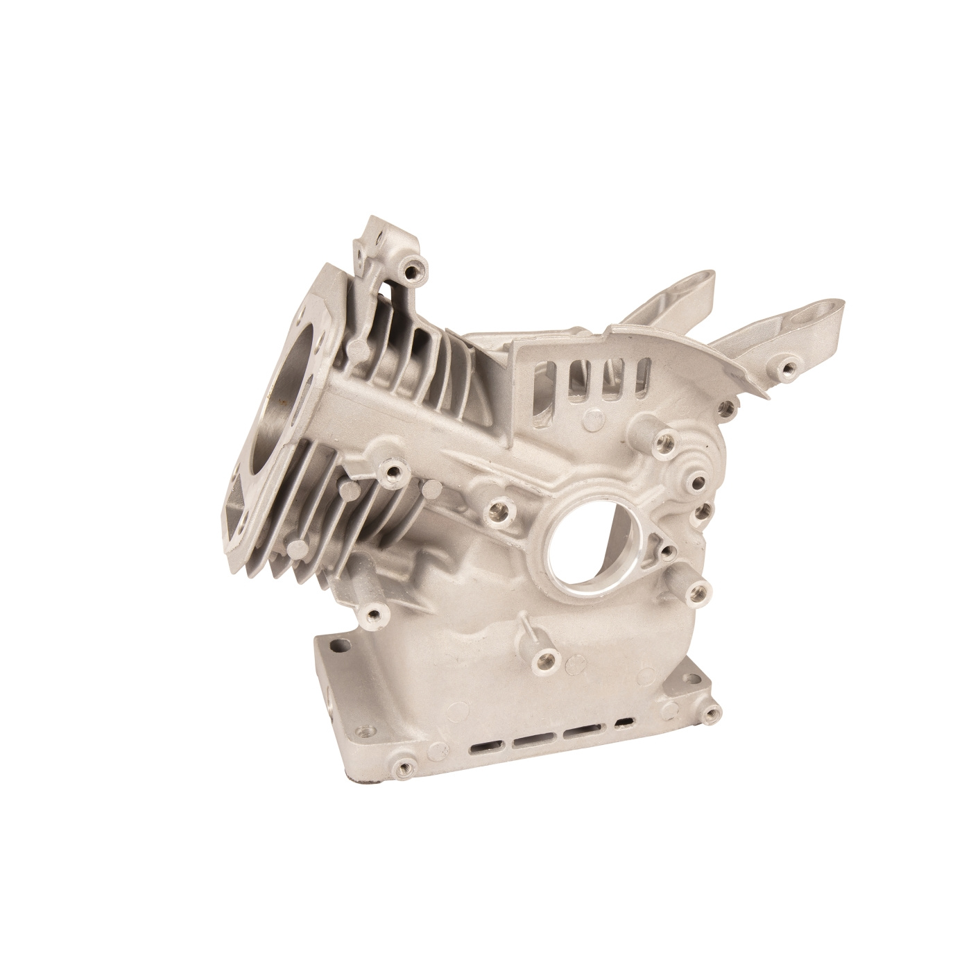 Crankcase 5993491-24