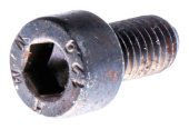 Screw Mc6S 5X10 7255325-55 Screw Mc6S 5X10 7255325-55
