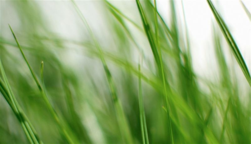 Klippo Champion Lawn Mower