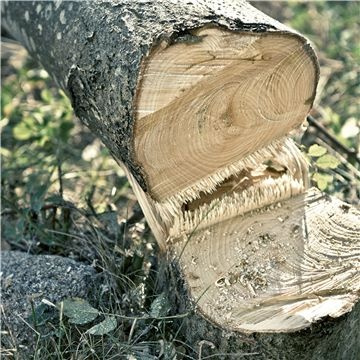 Husqvarna 530IPX POLE SAW BATTERY