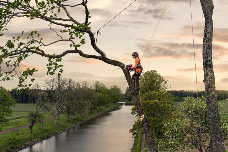 Husqvarna T540 XP® Mark III Chainsaw