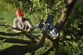 Husqvarna Aspire™ PE5 Pruner without battery and charger