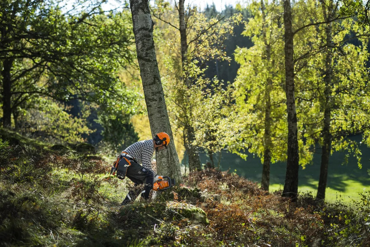 Husqvarna 450S Chainsaw