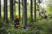 Husqvarna 450X Chainsaw Husqvarna 450X Chainsaw