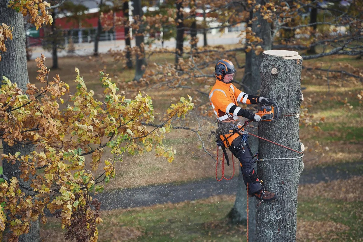 Husqvarna 550i XP® G Battery chainsaw