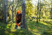 Husqvarna 440i battery chainsaw with battery and charger Husqvarna 440i battery chainsaw with battery and charger